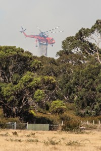 Crib Point Fire 2 013